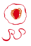 RP Symbol.png